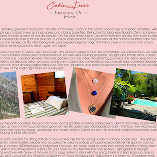 Cabin Fever- Spring 2020